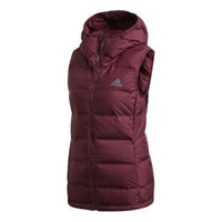 (WMNS) adidas Terrex Helionic Vest Asia Sizing 'Burgundy' DZ1492