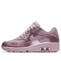 (GS) Nike Air Max 90 SE LTR Leather 859633-600