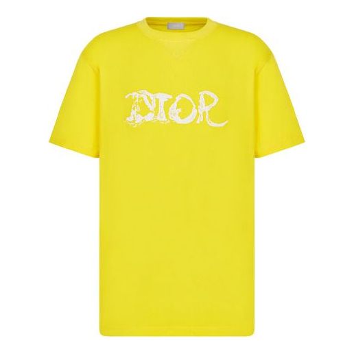 Men's DIOR x PETER DOIG Crossover FW21 Logo Embroidered Round Neck Short Sleeve Yellow T-Shirt 143J685C0677-C270