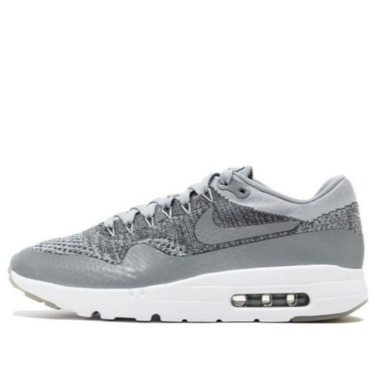 Nike Air Max 1 Ultra Flyknit 'Wolf Grey' 843384-001