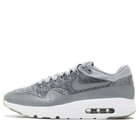 Nike Air Max 1 Ultra Flyknit 'Wolf Grey' 843384-001