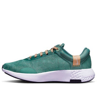 (WMNS) Nike Renew Serenity Run 2 'Bicoastal Enamel' DM0820-300