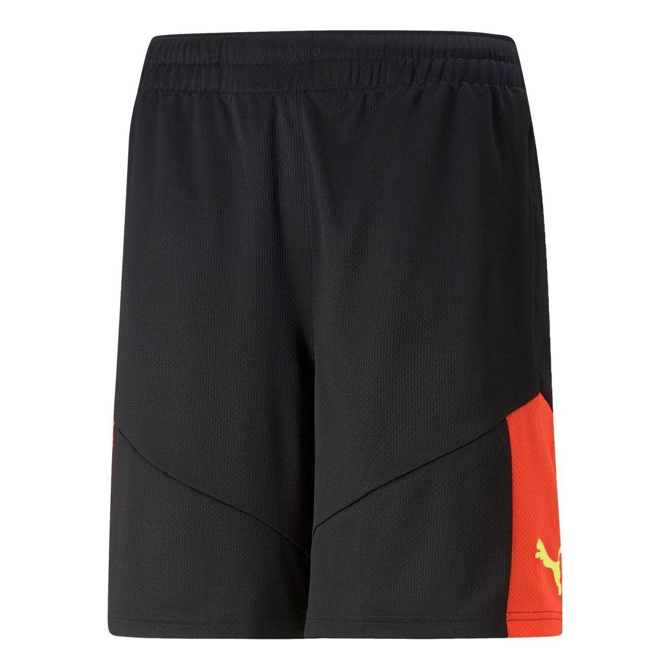 PUMA Individual FINAL Shorts 'Black' 658042-48