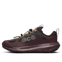 Nike ACG Mountain Fly 2 Low GTX 'Velvet Brown Burgundy' HF6245-200