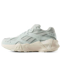 (WMNS) Reebok Aztrek Double DV6261