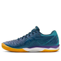 ASICS Court Control FF Blue 1071A064-300