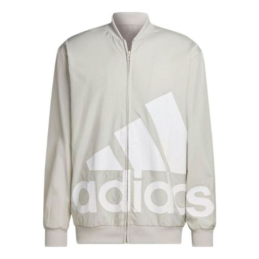 adidas AEROREADY Essentials Giant Logo Woven Windbreaker Jacket 'Aluminium' HL6922