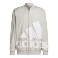 adidas AEROREADY Essentials Giant Logo Woven Windbreaker Jacket 'Aluminium' HL6922