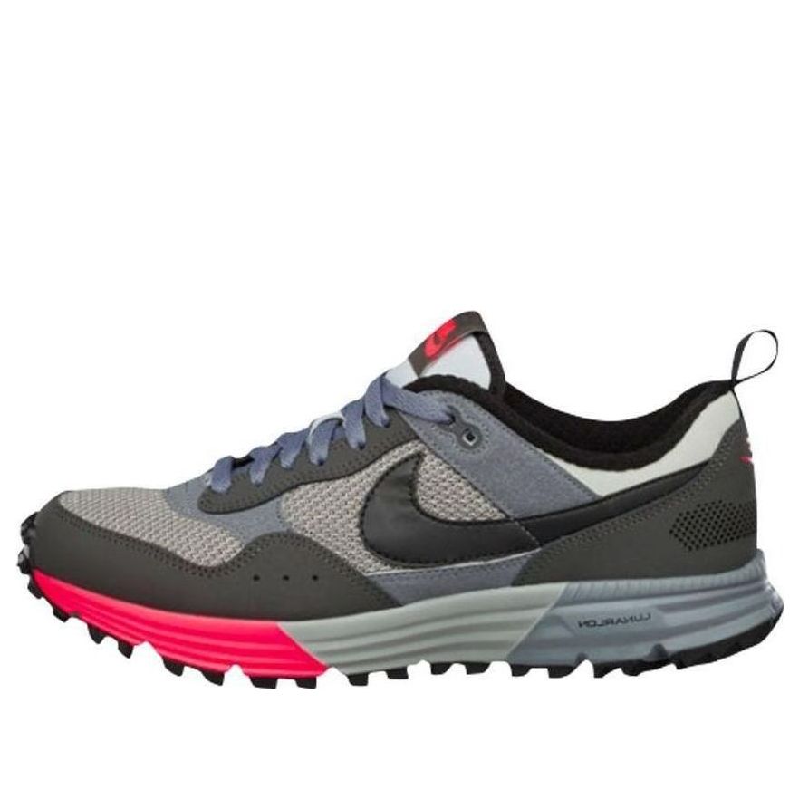 Nike Luna Pegasus 'Light Ash Grey' 653477-002