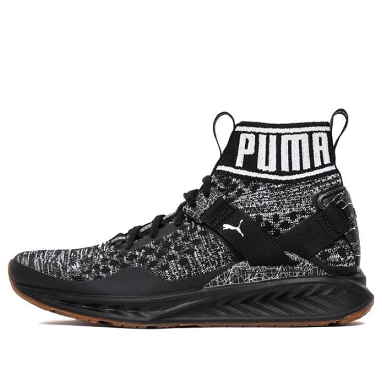 PUMA Ignite evoKnit Hypernature 'Black Gum' 190337-03