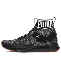 PUMA Ignite evoKnit Hypernature 'Black Gum' 190337-03