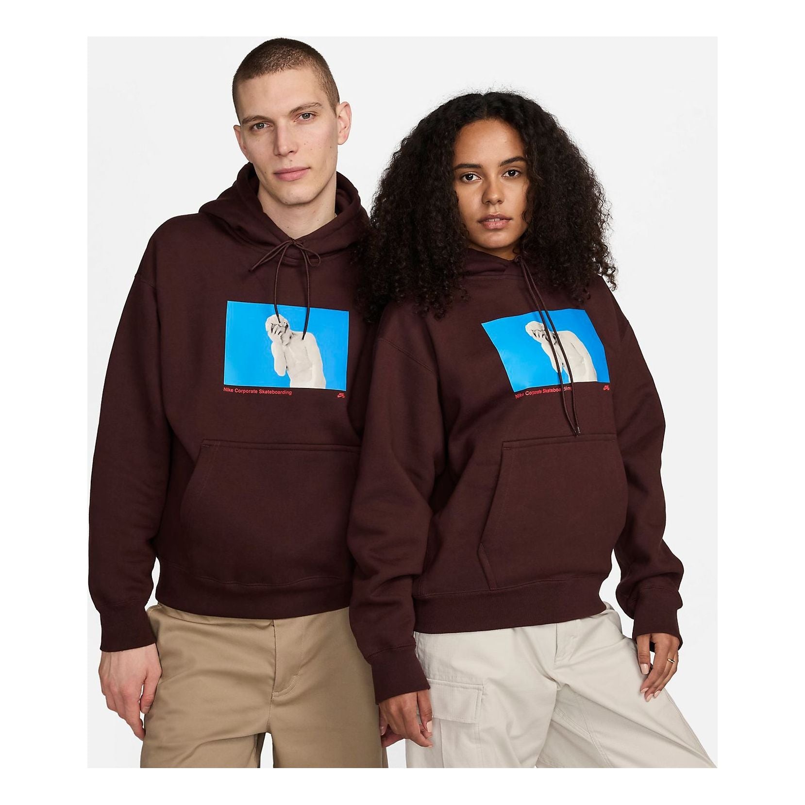 Nike SB Fleece Pullover Skate Hoodie 'Earth' FN2556-227