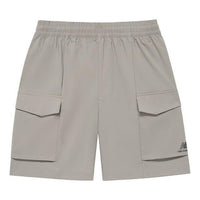 (WMNS) New Balance NBX Clean Slate Woven Shorts Asia Sizing 'Hush' AWS32314-HUS