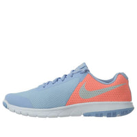 (GS) Nike Flex Experience 5 'Aluminum' 869980-400