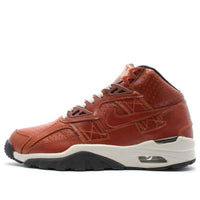 Nike Air Trainer SC High 'Curry' 306969-771