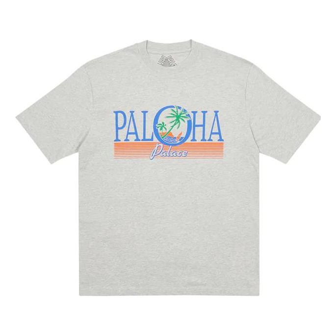Palace FW22 Paloha T-Shirt 'Grey' P23TS040