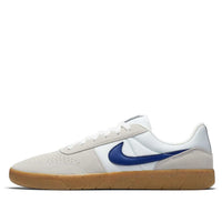 Nike Team Classic SB 'Summit White' AH3360-100