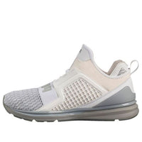 PUMA Ignite 'White Gray' 189781-02