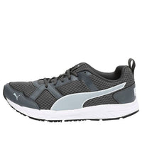 PUMA Dreton Idp Low Top Grey/White 368537-05
