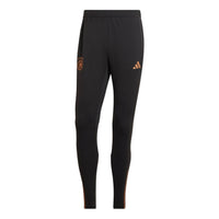 adidas Dfb Tr Pant Logo HF3995