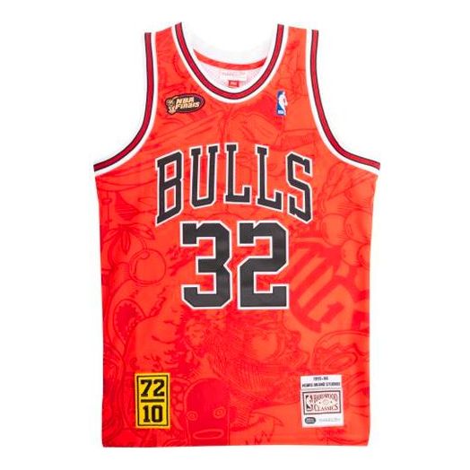 Mitchell & Ness NBA x Hebru Brantley 95-96  32 AJY4LF19082-CBURED1
