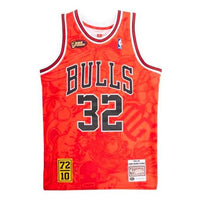 Mitchell & Ness NBA x Hebru Brantley 95-96  32 AJY4LF19082-CBURED1