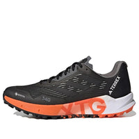 adidas Terrex Agravic Flow 2.0 Flow Gore-Tex 'Black White' HR1110