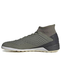 adidas Predator Tango 19.3 IN 'Legacy Green' EF8209