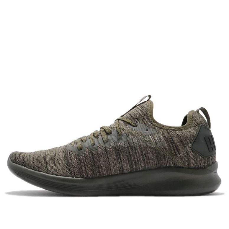 PUMA Ignite Flash evoKnit 'Forest Night' 190508-04