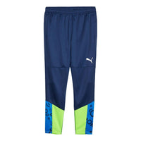 PUMA individualCUP Football Training Pants 'Blue Green' 658487-54