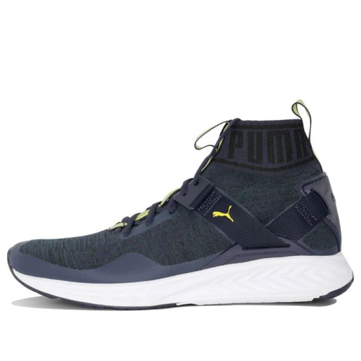 PUMA Ignite EvoKNIT Shoes Blue 189697-19