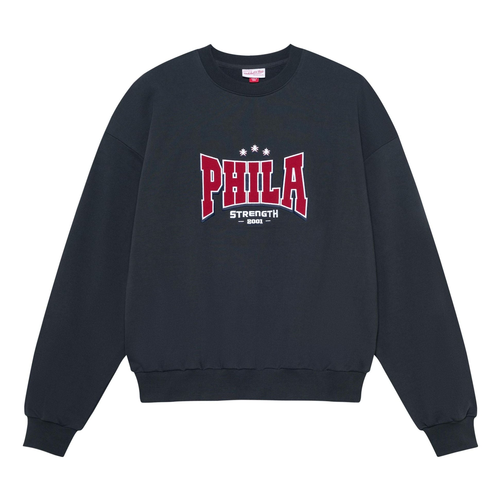 Mitchell & Ness x NBA Philadelphia 76ers THE ANSWER Sweatshirt 'Dark Grey' MNJYFWF22001-CARBON-GARY