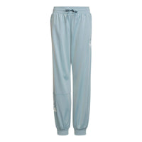 (GS) adidas originals Track Pants 'Blue' HL6883