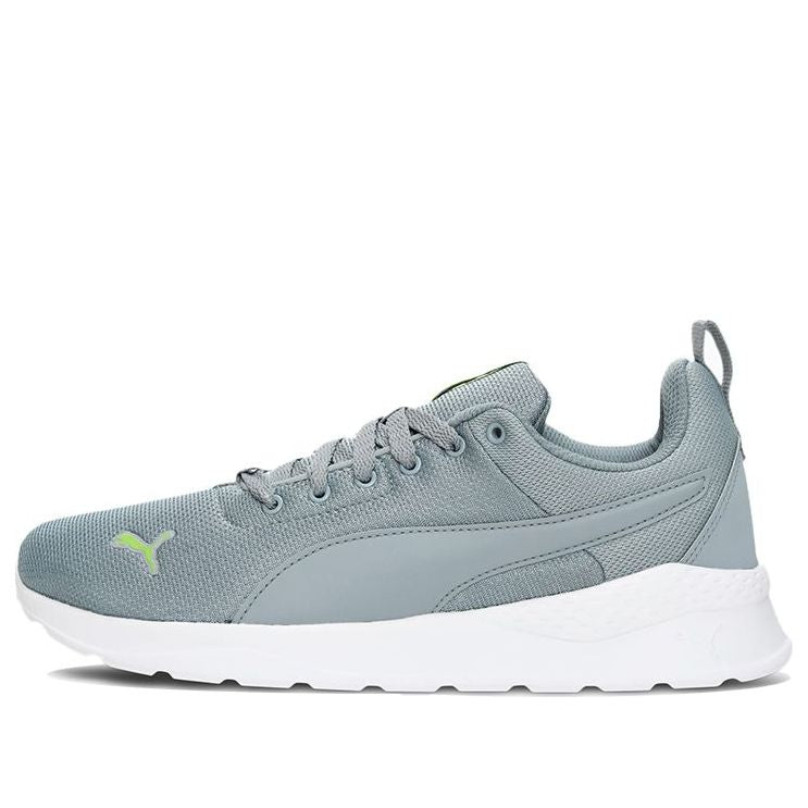 PUMA Anzarun Lite Idp Low-Top Grey 383009-07