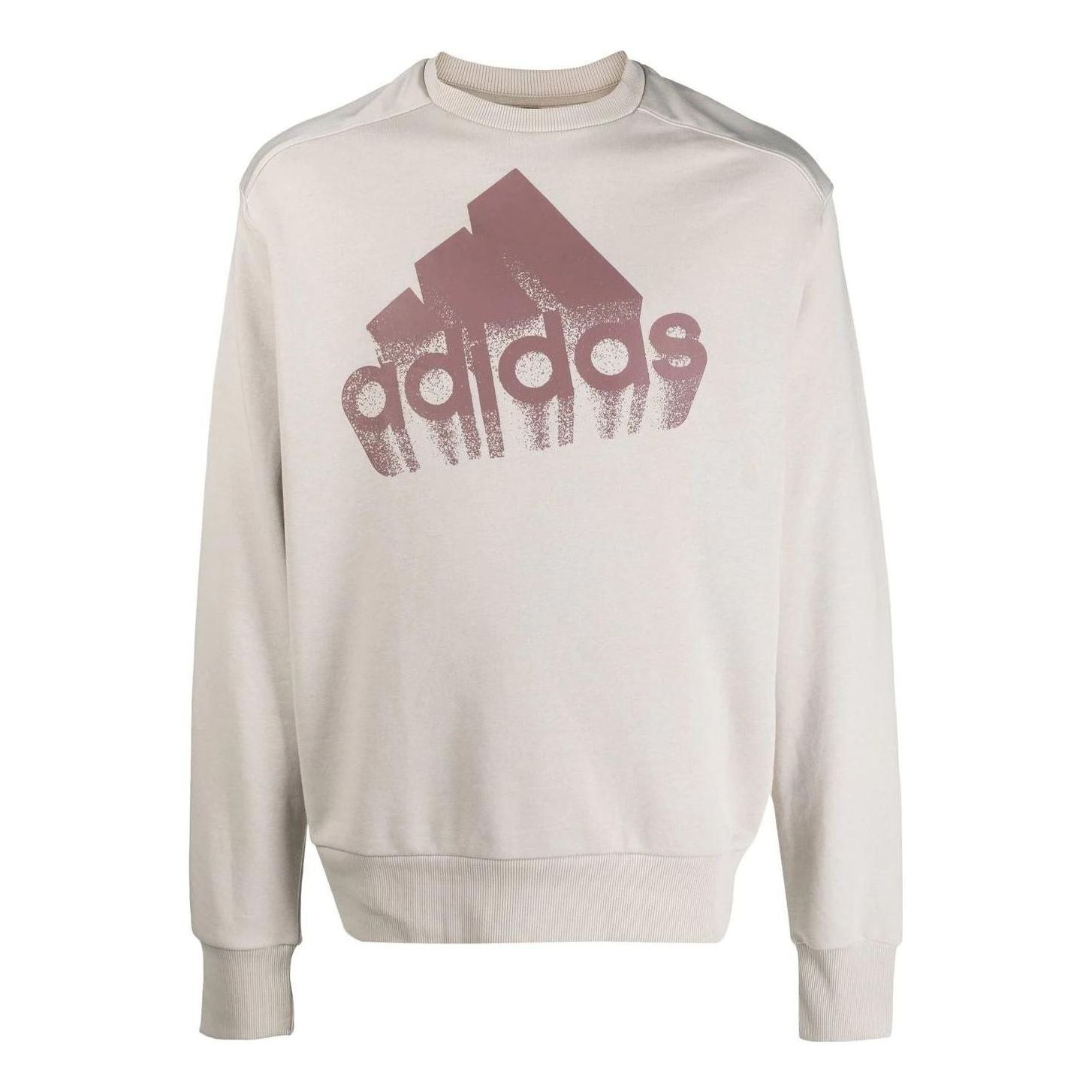 Men's adidas Printing Large Logo Round Neck Pullover Long Sleeves Gray HK0364