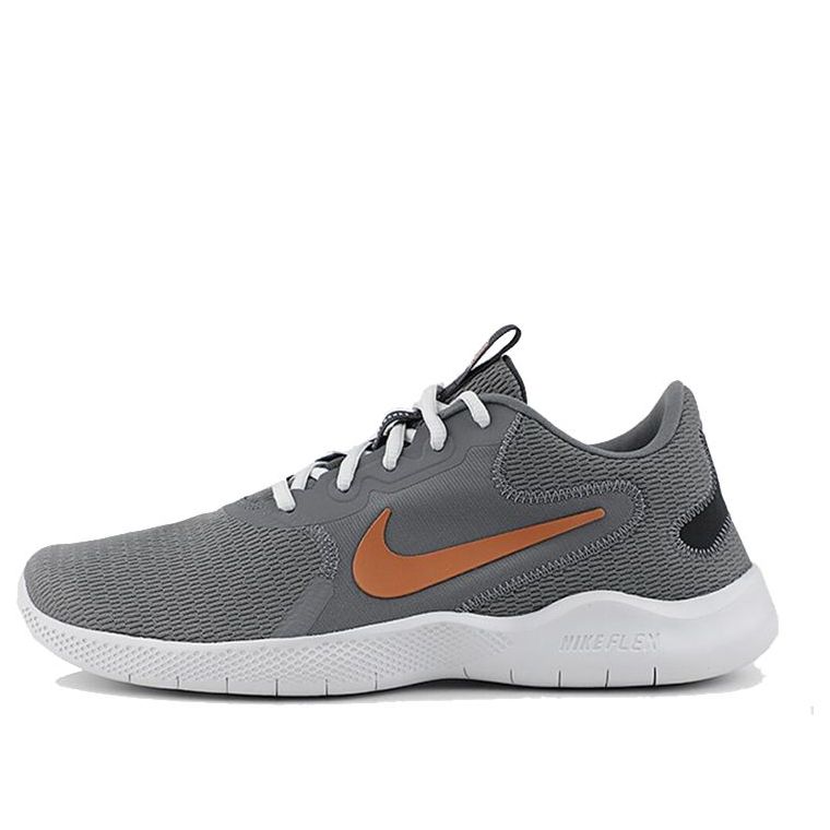 Nike Flex Experience Run 9 'Smoke Grey' CD0225-003