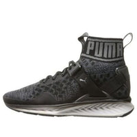 PUMA Ignite evoKnit 'Asphalt Quiet Shade' 189895-01