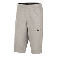 Nike Dri-FIT Knit Training Quick Dry Shorts Gray CT0501-063