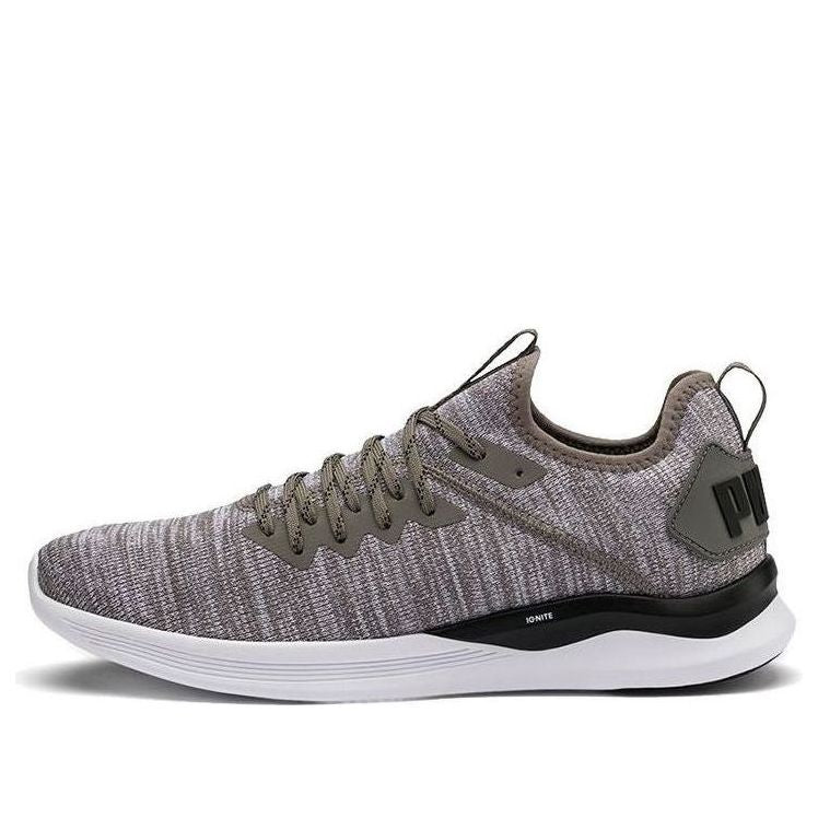 PUMA Ignite Flash EvoKnit 'Steel Gray' 190508-18