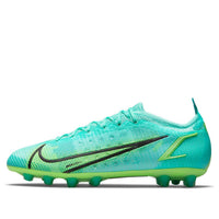 Nike Mercurial Vapor 14 Elite HG 'Green Light Green' DD0273-403