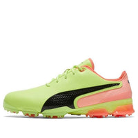 PUMA Ignite Proadapt Green/Black 194083-01