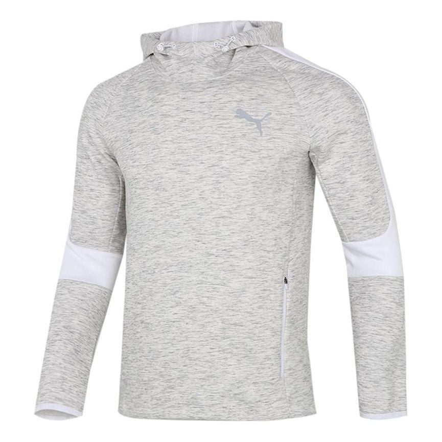 PUMA Logo Printing Sports Pullover light grey 846340-02