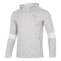 PUMA Logo Printing Sports Pullover light grey 846340-02