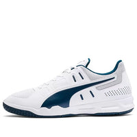 PUMA Auriz Indoor Grey 105600-02