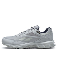 Reebok Ridge Rider 5.0 GTX 'Grey' H03055