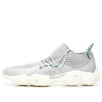 Reebok DMX Fusion 'Grey Basil' CN3602
