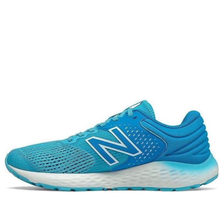 (WMNS) New Balance 520 Series v7 Blue W520LN7