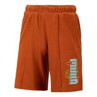 PUMA Logo Nature Shorts 'Brown' 538777-64