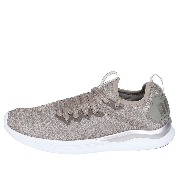 (WMNS) PUMA Ignite Flash EvoKnit EP 'Rock Ridge' 190961-01