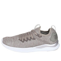 (WMNS) PUMA Ignite Flash EvoKnit EP 'Rock Ridge' 190961-01